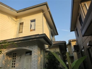 �V���s���� K�l�@�@�{�H��